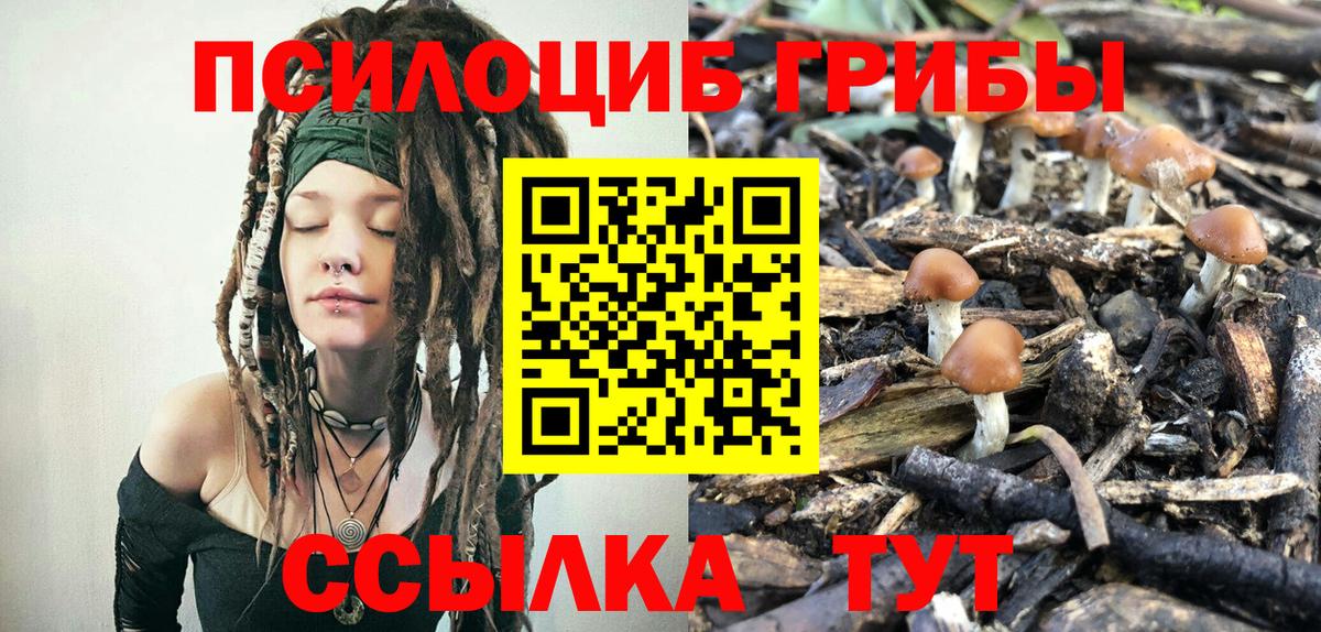 Псилоцибиновые грибы Cubensis  Вход с VPN  Бузулук 