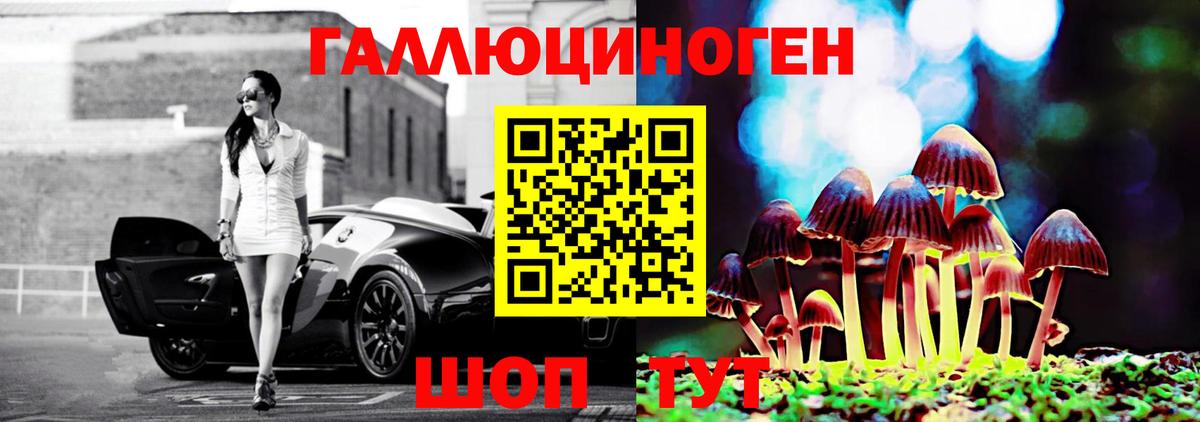 Галлюциногенные грибы Cubensis Бузулук